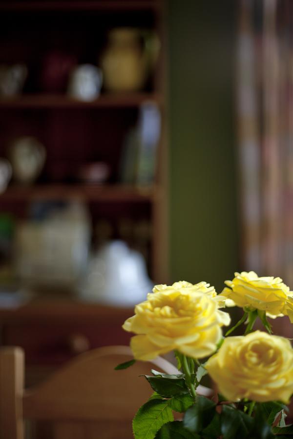 Bed and Breakfast North Walk House Лінтон Екстер'єр фото
